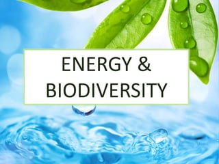 ENERGY &
BIODIVERSITY
 