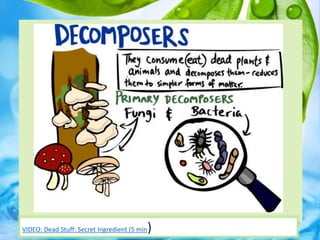 27VIDEO: Dead Stuff: Secret Ingredient (5 min)
 