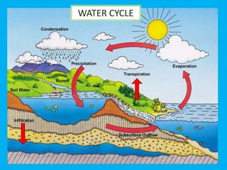 WATER CYCLE
 