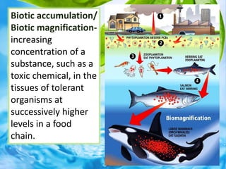 Biotic accumulation/
Biotic magnification-
increasing
concentration of a
substance, such as a
toxic chemical, in the
tissues of tolerant
organisms at
successively higher
levels in a food
chain.
36
 