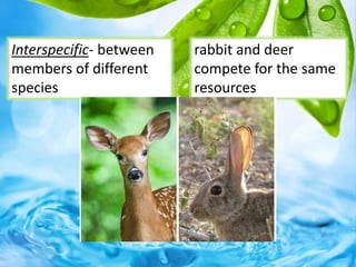 Interspecific- between
members of different
species
rabbit and deer
compete for the same
resources
43
 