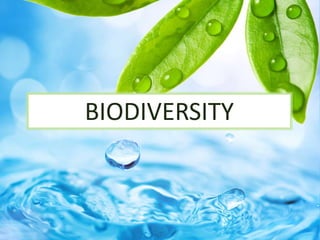 BIODIVERSITY
 