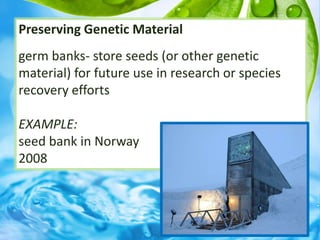 Preserving Genetic Material
germ banks- store seeds (or other genetic
material) for future use in research or species
recovery efforts
EXAMPLE:
seed bank in Norway
2008
 