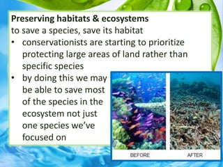 Preserving habitats & ecosystems
to save a species, save its habitat
• conservationists are starting to prioritize
protecting large areas of land rather than
specific species
• by doing this we may
be able to save most
of the species in the
ecosystem not just
one species we’ve
focused on
 