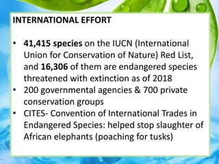 INTERNATIONAL EFFORT
• 41,415 species on the IUCN (International
Union for Conservation of Nature) Red List,
and 16,306 of them are endangered species
threatened with extinction as of 2018
• 200 governmental agencies & 700 private
conservation groups
• CITES- Convention of International Trades in
Endangered Species: helped stop slaughter of
African elephants (poaching for tusks)
 
