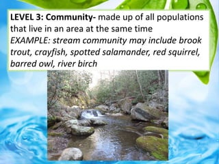 LEVEL 3: Community- made up of all populations
that live in an area at the same time
EXAMPLE: stream community may include brook
trout, crayfish, spotted salamander, red squirrel,
barred owl, river birch
7
 
