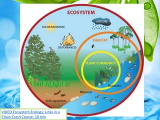 9
VIDEO Ecosystem Ecology: Links in a
Chain Crash Course: 10 min
 