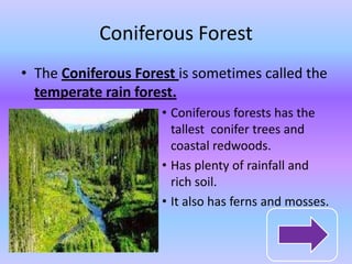 Coniferous Forest
• The Coniferous Forest is sometimes called the
  temperate rain forest.
                     • Coniferous forests has the
                       tallest conifer trees and
                       coastal redwoods.
                     • Has plenty of rainfall and
                       rich soil.
                     • It also has ferns and mosses.
 