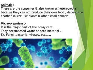 Animals :-
These are the consumer & also known as heterotrophs ,
because they can not produce their own food , depends on
another source like plants & other small animals.
Micro-organism :-
It is the major part of the ecosystem.
They decomposed waste or dead material .
Ex. Fungi ,bacteria, viruses, etc…….
 