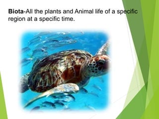 Biota-All the plants and Animal life of a specific
region at a specific time.
 