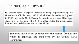 BIOSPHERE CONSERVATION
•A scheme called Biosphere Reserve is being implemented by the
Government of India since 1986, in which financial assistance is given
in 90:10 ratio to the North Eastern Region States and three Himalayan
states and in the ratio of 60:40 to other states for maintenance,
improvement, and development of certain items.
The State Government prepares the Management Action Plan
which is approved and monitored by the Central MAB
Committee.
 