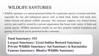 WILDLIFE SANTURIES
• Wildlife sanctuary is a natural protected habitat for a particular species of animal and birds,
especially the rare and endangered species such as black buck, Indian wild musk deer,
Indian bustard and gharial wildlife sanctuary. The sanctuary supports very limited human
activity and could by owned by a private organization that house wide variety of birds and
animal species. Wildlife sanctuaries usually do not have properly marked boundaries and
grazing of livestock can be permitted inside a sanctuary
Total Sanctuary: 531
Largest Sanctuary: Great Indian Bustard Sanctuary
Private Wildlife Sanctuary: Sai Sanctuary in Karnataka
Famous Sanctuary: Bhadra Wildlife Sanctuary
 
