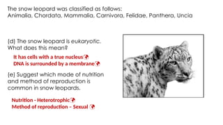 BIOLOGY biosphere to ecosystem ls grade 10.pptx
