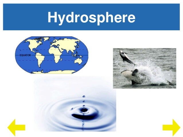 Essay on biosphere