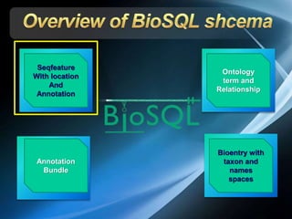 Annotation
Bundle
Seqfeature
With location
And
Annotation
Ontology
term and
Relationship
Bioentry with
taxon and
names
spaces
 