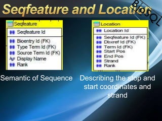 Semantic of Sequence Describing the stop and
start coordinates and
strand
 