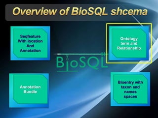 Annotation
Bundle
Seqfeature
With location
And
Annotation
Ontology
term and
Relationship
Bioentry with
taxon and
names
spaces
 