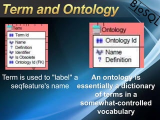 Term is used to "label" a
seqfeature's name
An ontology is
essentially a dictionary
of terms in a
somewhat-controlled
vocabulary
 