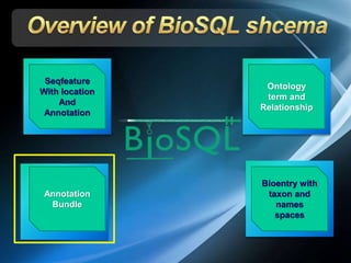 Annotation
Bundle
Seqfeature
With location
And
Annotation
Ontology
term and
Relationship
Bioentry with
taxon and
names
spaces
 