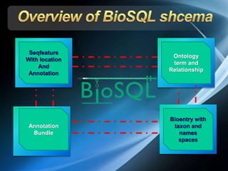 Annotation
Bundle
Seqfeature
With location
And
Annotation
Ontology
term and
Relationship
Bioentry with
taxon and
names
spaces
 