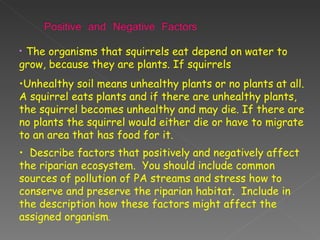 The organisms that squirrels eat depend on water to grow, because they are plants. If squirrels  Unhealthy soil means unhealthy plants or no plants at all. A squirrel eats plants and if there are unhealthy plants, the squirrel becomes unhealthy and may die. If there are no plants the squirrel would either die or have to migrate to an area that has food for it.  Describe factors that positively and negatively affect the riparian ecosystem.  You should include common sources of pollution of PA streams and stress how to conserve and preserve the riparian habitat.  Include in the description how these factors might affect the assigned organism . 