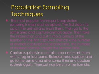 The most popular technique is population sampling is mark and recapture. The first step is to catch the animal and mark them. Then go to the same area and capture animals again. Then take the information and put it into a formula of the number of the first captured animals x the number of animals captured the second time, the number of marked animals caught the second time. Capture squirrels in a certain area and mark them with a tag or foot band. Release these squirrels and go to the same area after some time and capture squirrels again. Then put numbers into the formula. 
