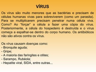 VÍRUS
Os vírus são muito menores que as bactérias e precisam de
células humanas vivas para sobreviverem (como um parasita).
Para se multiplicarem precisam penetrar numa célula viva.
Como? Ao “forçar” a célula a fazer uma cópia do vírus.
Posteriormente, a célula do hospedeiro é destruída e o vírus
começa a espalhar-se dentro do corpo humano. Os antibióticos
não são ativos contra os vírus.
Os vírus causam doenças como:
- Bronquite aguda;
- Gripe;
- A maioria das faringites e otites;
- Sarampo, Rubéola;
- Hepatite viral, SIDA, entre outras...

 