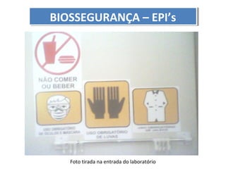 BIOSSEGURANÇA – EPI’s
BIOSSEGURANÇA – EPI’s

Foto tirada na entrada do laboratório

 