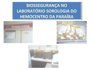 BIOSSEGURANÇA NO
BIOSSEGURANÇA NO
LABORATÓRIO SOROLOGIA DO
LABORATÓRIO SOROLOGIA DO
HEMOCENTRO DA PARAÍBA
HEMOCENTRO DA PARAÍBA

 