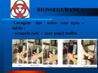 BIOSSEGURANÇA

-Lavagem das mãos- com água e
sabão ;
- secagem com - usar papel toalha.




                                     48
 