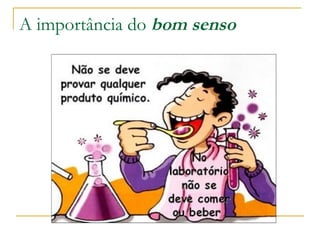 A importância do  bom senso 