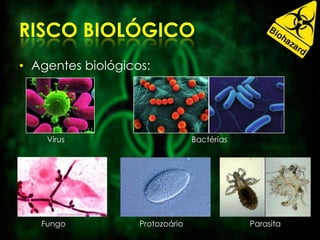 • Agentes biológicos:
Vírus Bactérias
Fungo Protozoário Parasita
 