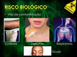 • Vias de contaminação
Cutânea Digestiva Respiratória
Ocular
 