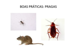BOAS PRÁTICAS: PRAGAS
 