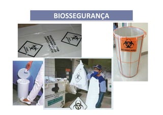 BIOSSEGURANÇABIOSSEGURANÇA
 
