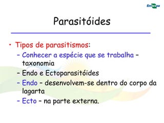 Parasitóides

• Tipos de parasitismos:
  – Conhecer a espécie que se trabalha –
    taxonomia
  – Endo e Ectoparasitóides
  – Endo – desenvolvem-se dentro do corpo da
    lagarta
  – Ecto – na parte externa.
 