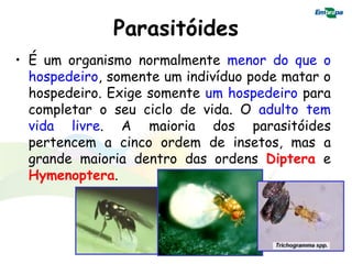 Parasitóides
• É um organismo normalmente menor do que o
  hospedeiro, somente um indivíduo pode matar o
  hospedeiro. Exige somente um hospedeiro para
  completar o seu ciclo de vida. O adulto tem
  vida livre. A maioria dos parasitóides
  pertencem a cinco ordem de insetos, mas a
  grande maioria dentro das ordens Diptera e
  Hymenoptera.
 