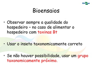 Bioensaios
• Observar sempre a qualidade do
  hospedeiro – no caso de alimentar o
  hospedeiro com toxinas Bt

• Usar o inseto taxonomicamente correto

• Se não houver possibilidade, usar um grupo
  taxonomicamente próximo.
 