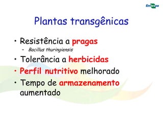 Plantas transgênicas
• Resistência a pragas
  – Bacillus thuringiensis

• Tolerância a herbicidas
• Perfil nutritivo melhorado
• Tempo de armazenamento
  aumentado
 