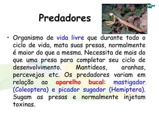 Predadores
• Organismo de vida livre que durante todo o
  ciclo de vida, mata suas presas, normalmente
  é maior do que a mesma. Necessita de mais do
  que uma presa para completar seu ciclo de
  desenvolvimento.      Mantideos,     aranhas,
  percevejos etc. Os predadores variam em
  relação ao aparelho bucal: mastigador
  (Coleoptera) e picador sugador (Hemiptera).
  Sugam as presas e normalmente injetam
  toxinas.
 