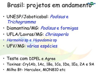 Brasil: projetos em andamento
• UNESP/Jaboticabal: Podisus e
  Trichogramma
• Diamantina/MG: Podisus e formigas
• UFLA/Lavras/MG: Chrisoperla
• Harmonia sp e Hypodamia sp
• UFV/MG: várias espécies

• Teste com DIPEL e Agree
• Toxinas: Cry1Ab, 1Ac, 1Ba, 1Ca, 1Da, 1Ea, 2A e 9A
• Milho Bt- Herculex, MON810 etc
 