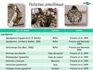 Polistes simillimus




               List of preys                 Culture              Autors
Lepidoptera
    Spodoptera frugiperda (J. E. Smith)       Milho         Prezoto et al. 1994
    Spodoptera latifascia Walker, 1856        Milho        Prezoto and Machado
                                                                   1999
    Helicoverpa Zea (Bod., 1850)              Milho        Prezoto and Machado
                                                                   1999
    Diatraea saccharalis                  Cana-de-açúcar    Prezoto et al. 1994
    Elasmopalpus lignosellus              Cana-de-açúcar    Prezoto et al. 1994
    Heliothis virescens                     Macieira        Prezoto et al. 1994
    Anticarsia gemmatalis                     Soja          Prezoto et al. 39
                                                                           1994
    Chlosyne lacinia saundersii              Girassol       Prezoto et al. 1994
 