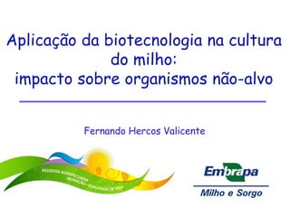 Aplicação da biotecnologia na cultura
              do milho:
 impacto sobre organismos não-alvo


          Fernando Hercos Valicente
 