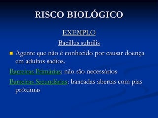 RISCO BIOLÓGICO
EXEMPLO
Bacillus subtilis
 Agente que não é conhecido por causar doença
em adultos sadios.
Barreiras Primárias: não são necessários
Barreiras Secundárias: bancadas abertas com pias
próximas
 