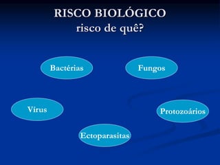 RISCO BIOLÓGICO
risco de quê?
Bactérias
Vírus
Fungos
Ectoparasitas
Protozoários
 