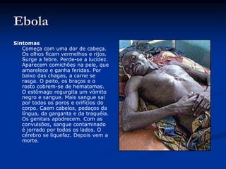 Ebola
Sintomas
Começa com uma dor de cabeça.
Os olhos ficam vermelhos e rijos.
Surge a febre. Perde-se a lucidez.
Aparecem comichões na pele, que
amarelece e ganha feridas. Por
baixo das chagas, a carne se
rasga. O peito, os braços e o
rosto cobrem-se de hematomas.
O estômago regurgita um vômito
negro e sangue. Mais sangue sai
por todos os poros e orifícios do
corpo. Caem cabelos, pedaços da
língua, da garganta e da traquéia.
Os genitais apodrecem. Com as
convulsões, sangue contaminado
é jorrado por todos os lados. O
cérebro se liquefaz. Depois vem a
morte.
 