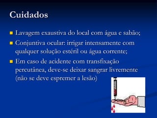 Cuidados
 Lavagem exaustiva do local com água e sabão;
 Conjuntiva ocular: irrigar intensamente com
qualquer solução estéril ou água corrente;
 Em caso de acidente com transfixação
percutânea, deve-se deixar sangrar livremente
(não se deve espremer a lesão)
 