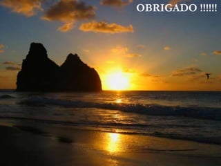 OBRIGADO !!!!!!
 