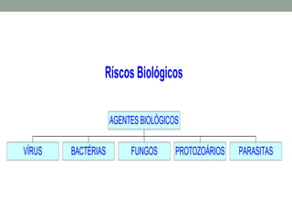 Ríscos Biológicos
VÍRUS BACTÉRIAS FUNGOS PROTOZOÁRIOS PARASITAS
AGENTESBIOLÓGICOS
 