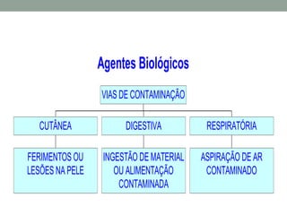 Agentes Biológicos
FERIMENTOS OU
LESÕES NA PELE
CUTÂNEA
INGESTÃO DE MATERIAL
OU ALIMENTAÇÃO
CONTAMINADA
DIGESTIVA
ASPIRAÇÃO DE AR
CONTAMINADO
RESPIRATÓRIA
VIAS DE CONTAMINAÇÃO
 